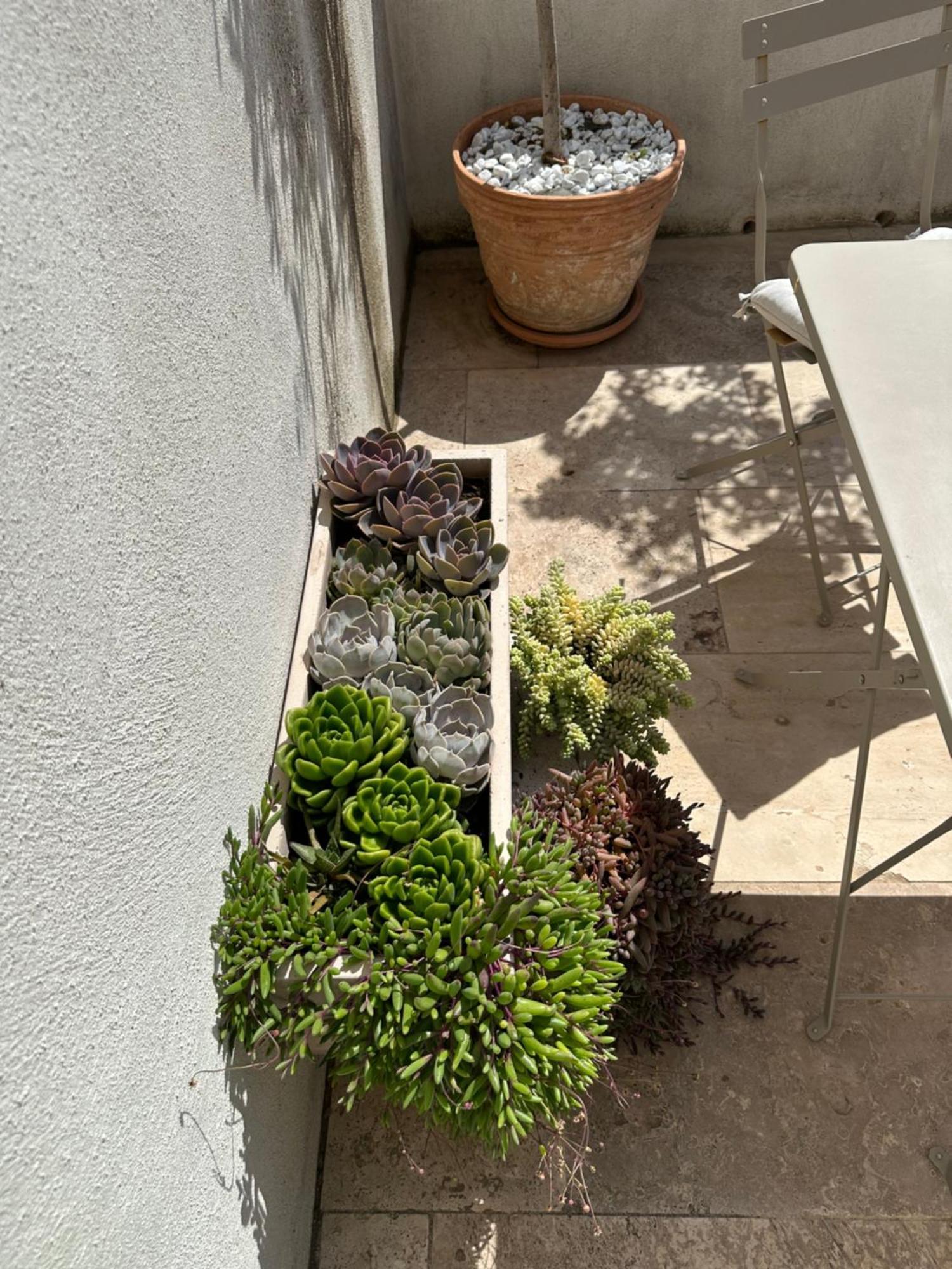 Appartements 3 Etoiles Terrasse Ou Patio Intra-Muros Aigues-Mortes Exteriör bild